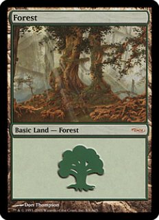 MTG プロモーションカード 【MTG/PR】※Foil※《森/Forest》(arenaland