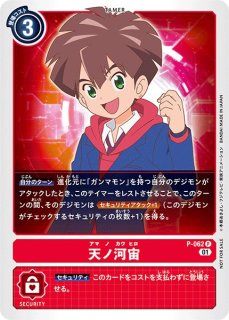 サプライ 【倉庫在庫】ポケモンカード ジムチャレンジ限定 デッキ