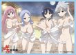 画像1: きゃらスリーブコレクションデラックス 「咲-Saki- 全国編 Part.2」(No.DX006)※ スリーブのみ #307 (1)