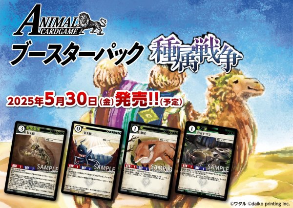 画像1:  【予約商品】  アニマルカードゲーム 1弾ブースターパック 「種属戦争」 BOX（18パック入り） 【25年5月30日発売】 (1)