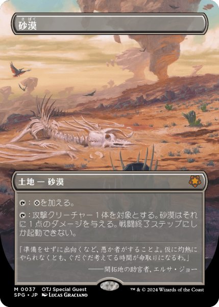 画像1: 【OTJ/SPG】《砂漠/Desert》【M】 (1)