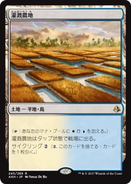 画像1: 【AKH】《灌漑農地/Irrigated Farmland》【R】 (1)