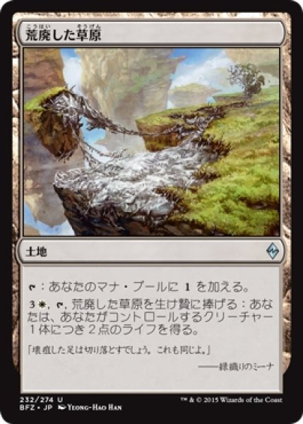 画像1: 【BFZ】※Foil※《荒廃した草原/Blighted Steppe》【U】 (1)