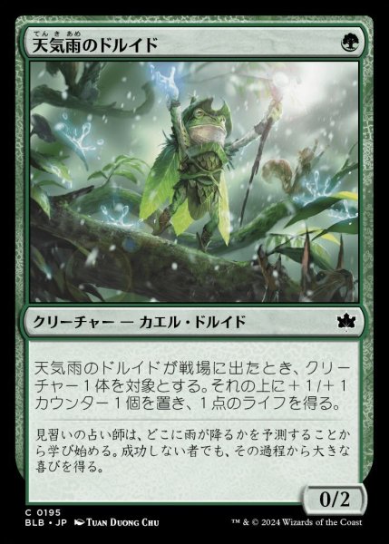 画像1: 【BLB】《天気雨のドルイド/Sunshower Druid》【C】 (1)