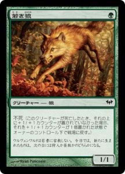 画像1:  ※数量限定SALE品／傷有品※  【DKA】※Foil※《若き狼/Young Wolf》【C】 (1)