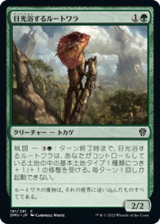 MTG デュエルデッキ 【GVL】《日を浴びるルートワラ/Basking Rootwalla