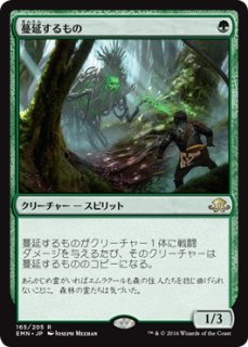 MTG エターナル 【EMA】※Foil※《ワイアウッドの共生虫/Wirewood