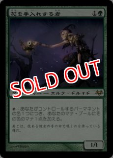 MTG モダン ローウィン=シャドウムーアブロック【EVE】イーブンタイド