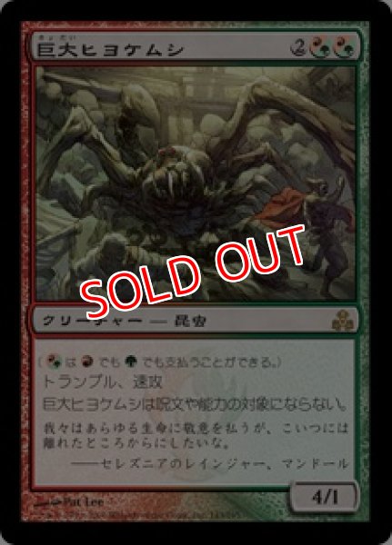 画像1: 【GPT】《巨大ヒヨケムシ/Giant Solifuge》【R】 (1)