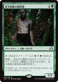 MTG パイオニア 【SOI】※Foil※《死天狗茸の栽培者/Deathcap Cultivator