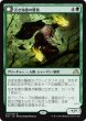 画像1: 【SOI】※Foil※《古き知恵の賢者/Sage of Ancient Lore》《古き飢えの人狼/Wrerwolf of Ancient Hunger》【R】 (1)