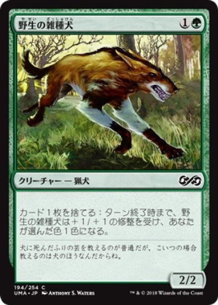 画像1: 【UMA】※Foil※《野生の雑種犬/Wild Mongrel》【C】 (1)